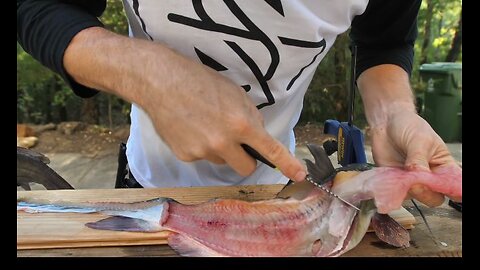 How to Cook Cat Fish 🐟 || Delicious ||