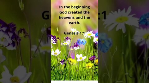 GOD DID IT! | MEMORIZE HIS VERSES TODAY | Genesis 1:1