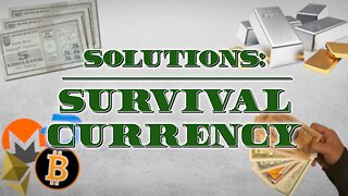 Solutions: Survival Currency