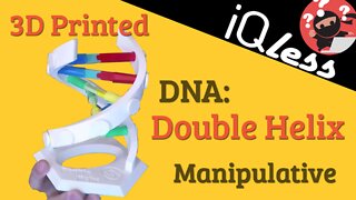 3D Printed DNA: Double Helix Manipulative