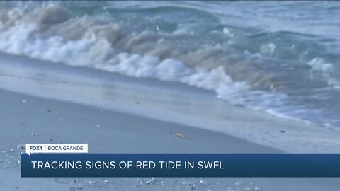 Tracking signs of red tide in SWFL