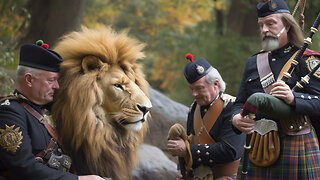 Hunting Lions in Berlin & the Madness of Crowds