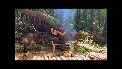 2 Days BUSHCRAFT Solo CAMPING, Building Survival SHELT ER- Bull Testicles Cooking - Diy Crafts