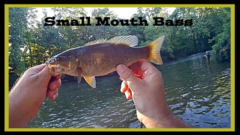 Creek Fishing for Small Mouth Bass