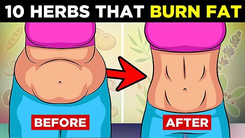 10 Herbs That Burn Belly Fat and Aid Weight Loss