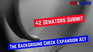 S42: Background Check Expansion Act