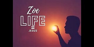 The Zoe Life