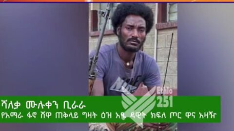 የአማራ ፋኖ ሸዋ ጠቅላይ ግዛት ዕዝ አፄ ዳዊት ክፍለጦር ዋና አዛዥ ከሆነው ሻለቃ ሙሉቀን ቢራራ ጋር የተደረገ ቆይታ