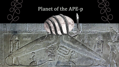 23-Planet of the APE-p