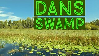 Dans swamp épisode6: Pierre Bellemare