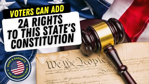 This State Has NO 2A Rights In It's Constitution! Voters Can Fix That NOW!