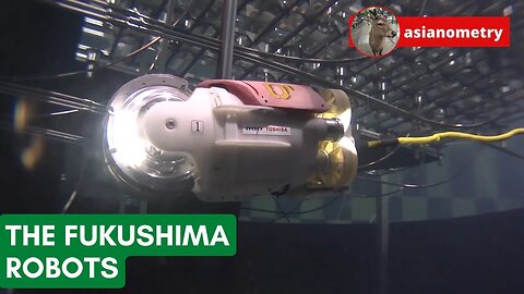 The Fukushima Robots