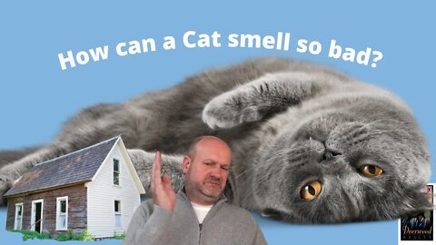 The Smell, MAYBE a cat?.…..Deerwood Realty and Friends…Ep. 18