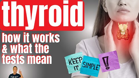 Understanding Thyroid Hormone Production and Blood Tests