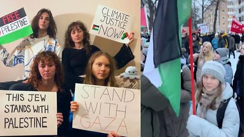 Did You Notice This About Greta Thunberg's 'Stand With Gaza' Picture?