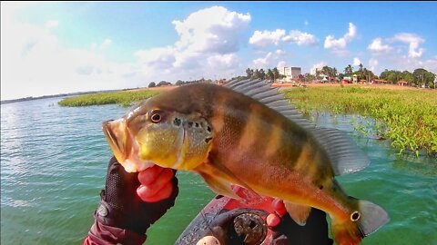 #13 Fishing Peacock Bass - Ultralight Reel Style - Kayak Fishing - Pesca de Tucunaré