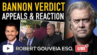 Bannon's SCAM Guilty Verdict and APPEALABLE ISSUES Reaction