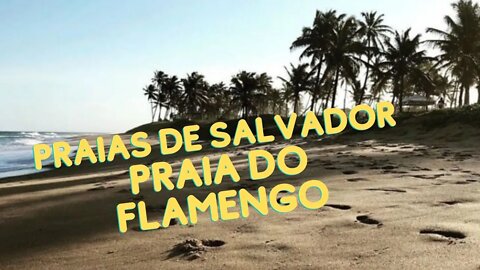 Praia do Flamengo #turismo #viagem #praia