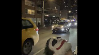 Joker in a New York cab