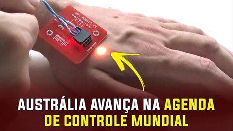 Austrália já avança em cadastro nacional e na comida com insetos - Tecnologia UFO OVNI