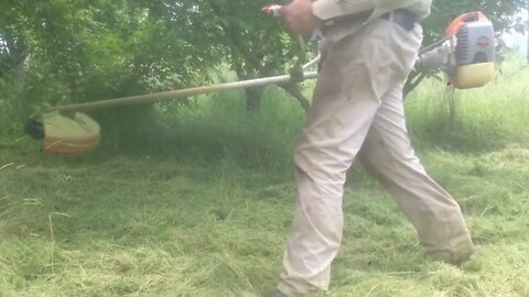 The proper cutting of weeds with a Chinese-made bush cutter in a field with dense trees (P2)