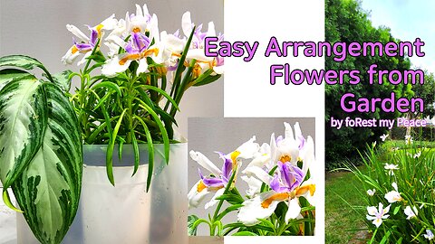 Easy arrangement flowers from garden