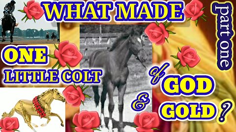 🌹Episode ONE 🌹What Made A Colt of God & Gold?🌹~🌹Secreatariat🌹/Horseracing History🌹