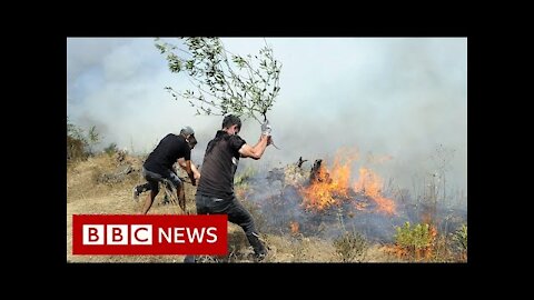 Arsonists blamed after wildfires kill dozens in Algeria