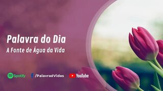 Palavra da Tarde Abençoada - A Fonte de Água da Vida