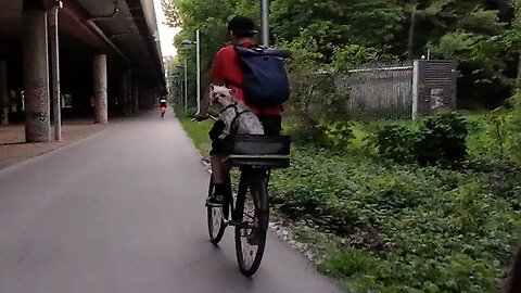 Cycling, 09.05.2024 [B] Donauinsel