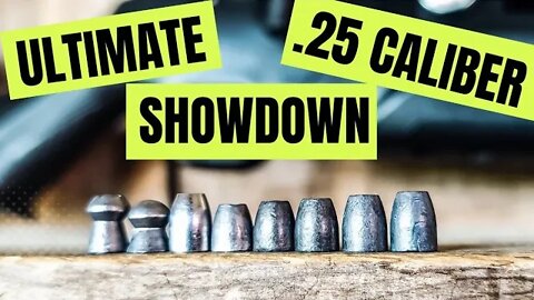 Ultimate .25 Caliber Showdown!!!