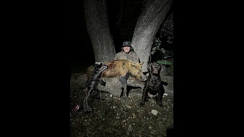 Bow Hunting Texas Hogs