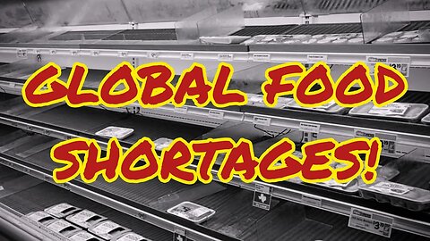 Global Food Shortages! What Does It Lead To?