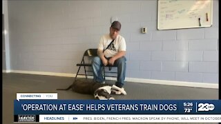 New York nonprofit helps veterans with PTSD by introducing them to service dogs