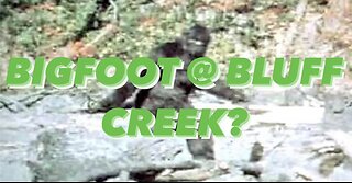 Bigfoot @Bluff Creek?