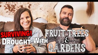 (SURVIVING!) Drought With Fruit Trees & Gardens ~ Fall Garden Plans ~ Food Shortages