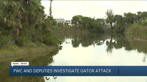 Man's arm amputated following incident with alligator