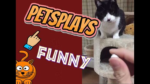This pets fails at catching treats will leave you in stitches!