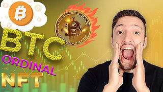 BTC Ordinal NFT 🔥 What Are Ordinals? A Beginner's Guide to Bitcoin NFTs
