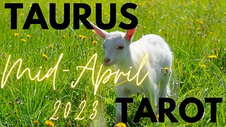 TAURUS- Allow yourself to feel joy 🌞Mid-April Tarot reading #taurus #tarot #tarotary #april