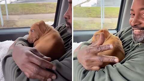 Guy receives puppy for his birthday surprise