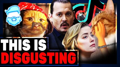 Amber Heard DEMOLISHED By A TikTok Cat & The Media Demands Ban!