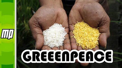 Golden Rice and Why You Should Not Fund Greenpeace