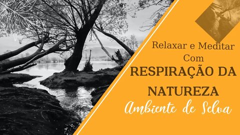 MUSICA RELAXANTE COM RESPIRAÇÃO DA NATUREZA E SONS DE SELVA