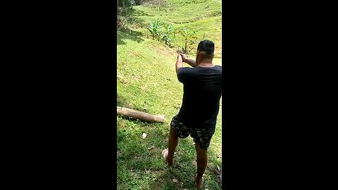 TREINAMENTO BÁSICO COM A BRABA