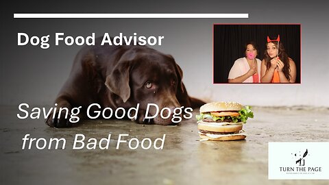 High Noon - Today we'r Talk Food for our Fur Babies and more current Events