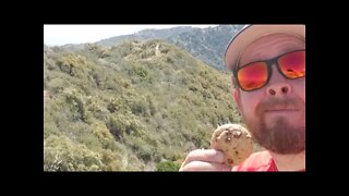 NEWHALL Local Hike - Rice Canyon To Ridgeline