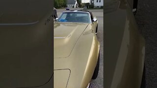 1969 Corvette... no new balance or jean shorts