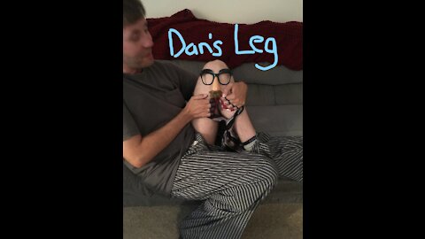 Kangaroos without Pouches: Dan's Leg