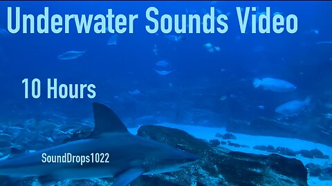 Get Some Rest With 10 Hours Of Underwater Sounds Video